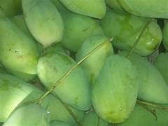 Mango X5