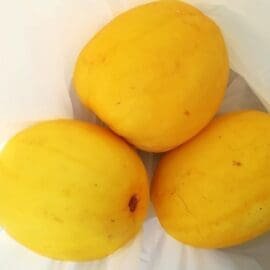 Lemon- imported X5