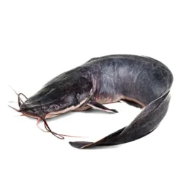 catfish NenaGroceries