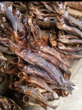 dried croaker fish NenaGroceries