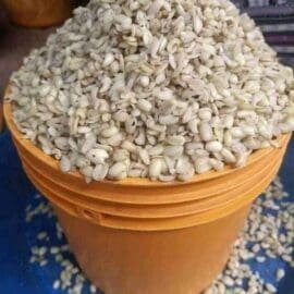 Fresh Breadfruit(Ukwa) 2.5kg custard paint