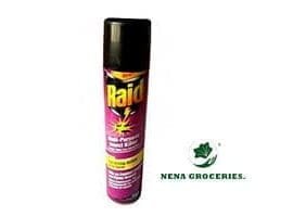 Raid Insect Killer 300 ml